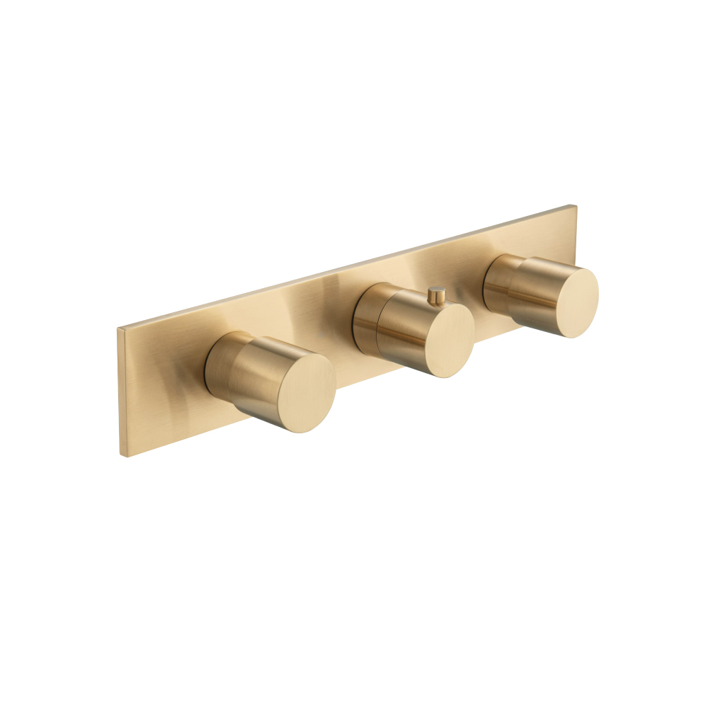 Trim For Horizontal Thermostatic Valve with 2 Volume Controls | Brushed Bronze PVD