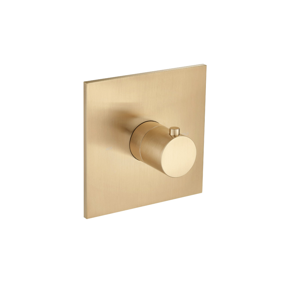 Trim For 3/4" Thermostatic Valve - Use with TVH.4201 | Brushed Bronze PVD