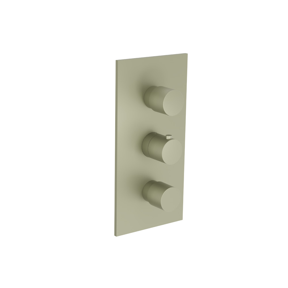 3/4" Thermostatic Valve and Trim - 2 Outputs | Army Green
