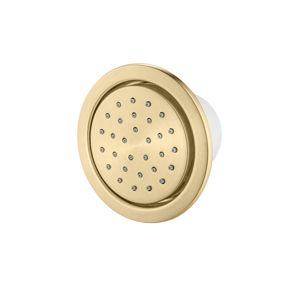 Body Jet - With Swivel Action | Satin Brass PVD