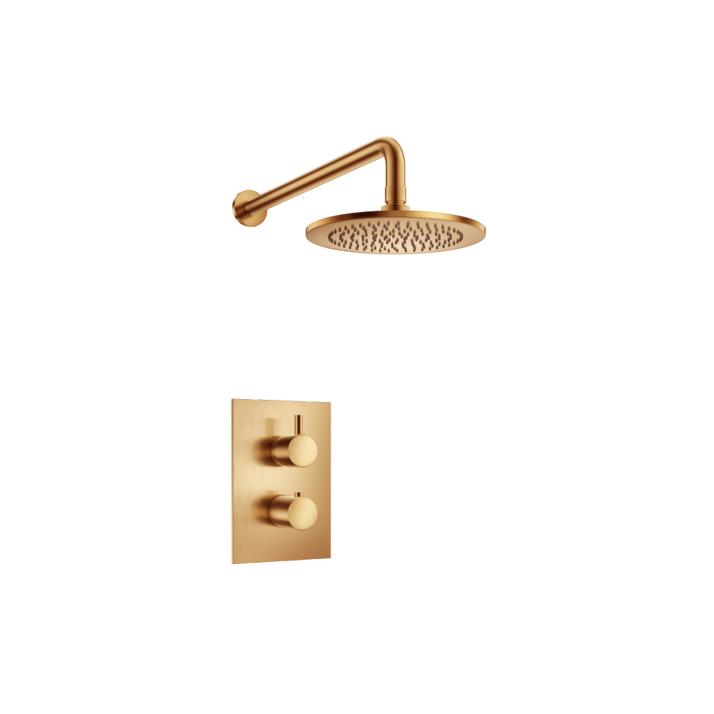 Single Output Shower Set With Shower Head And Arm | Brushed Bronze PVD