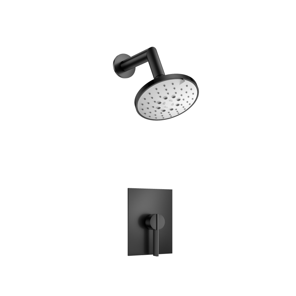 Single Output Shower Set With ABS Shower Head & Arm | Matte Black