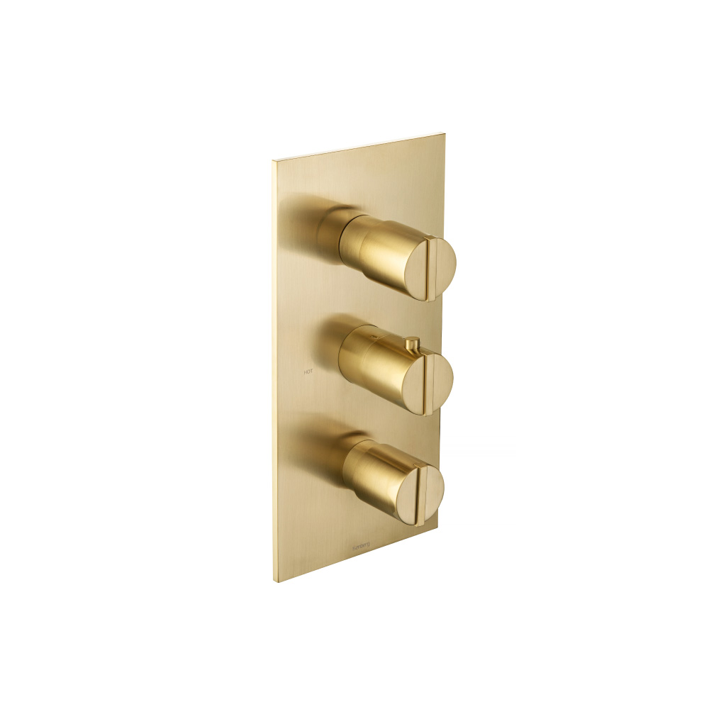 3/4" Thermostatic Valve and Trim - 2 Outputs | Satin Brass PVD