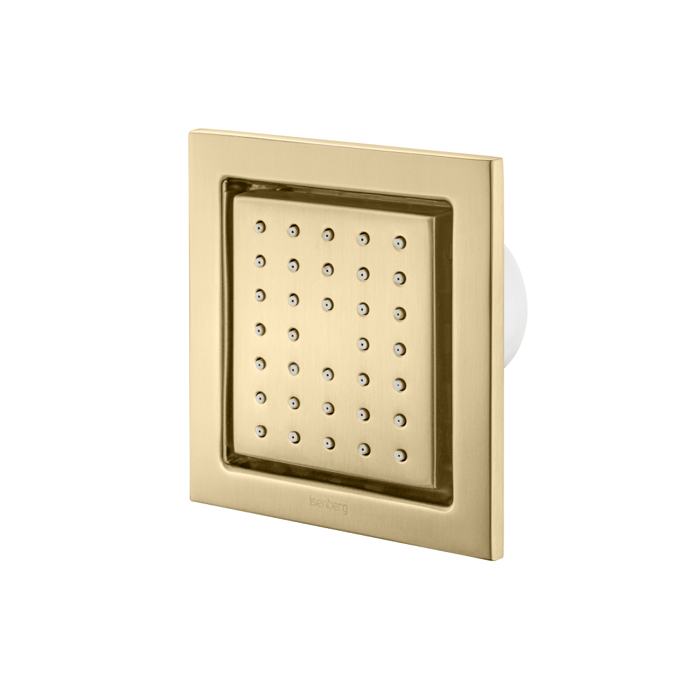 Body Jet - With Swivel Action | Satin Brass PVD