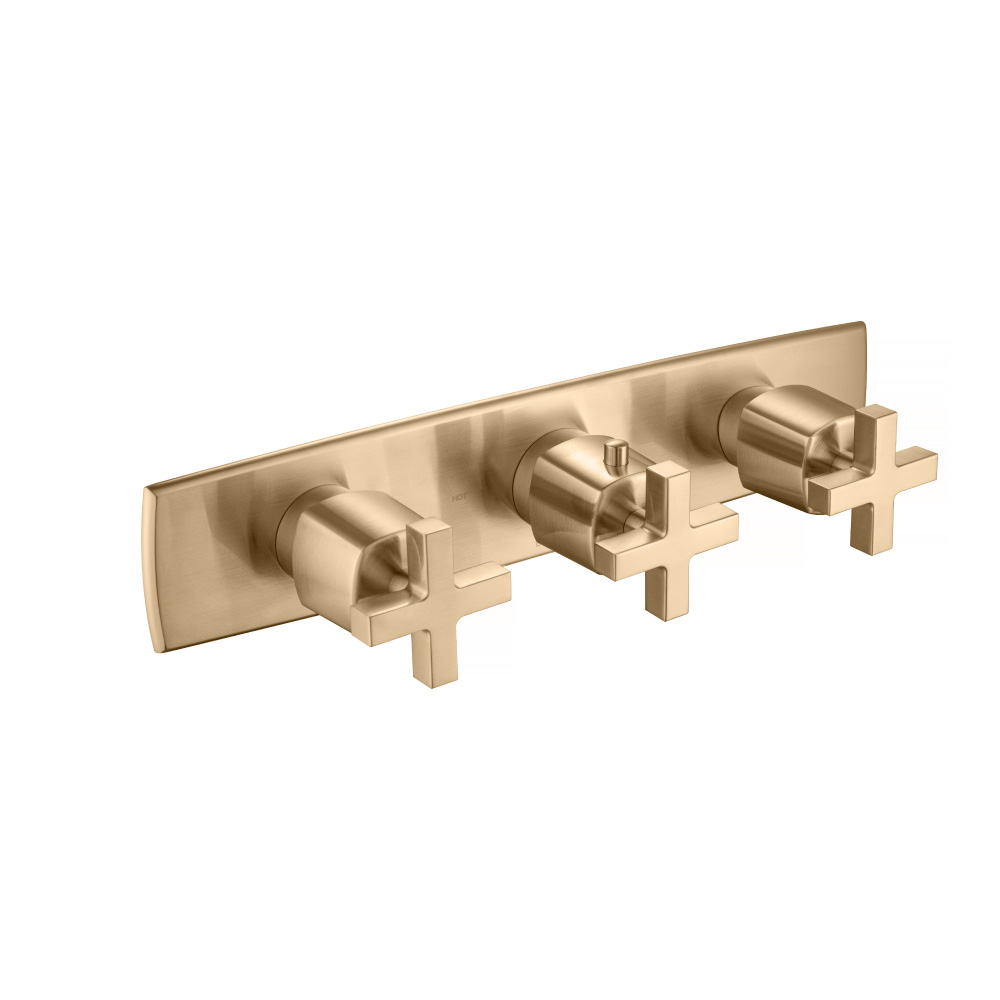 Trim For Horizontal Thermostatic Valve with 2 Volume Controls | Brushed Bronze PVD