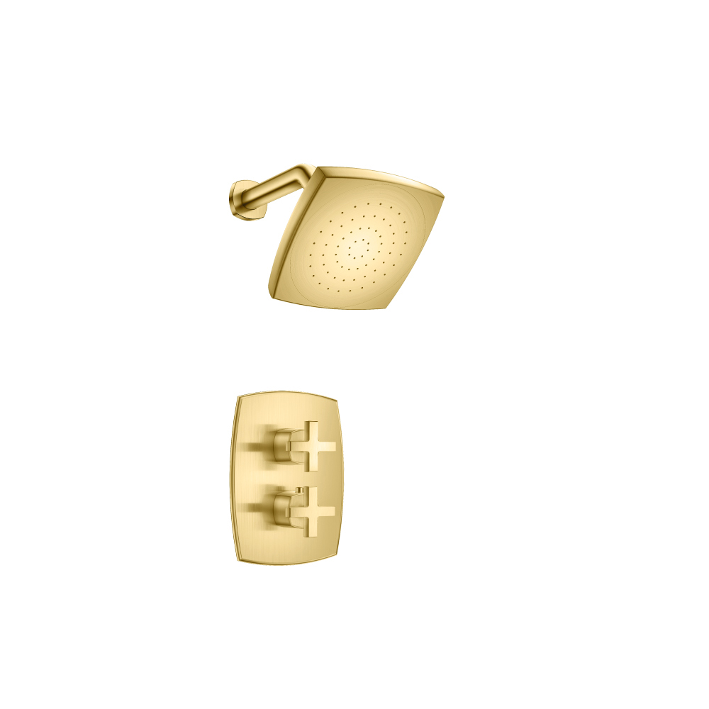 Single Output Shower Set With Shower Head And Arm | Satin Brass PVD