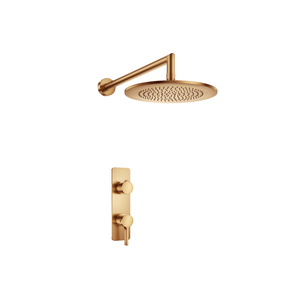 Single Output Shower Set With Shower Head And Arm | Brushed Bronze PVD