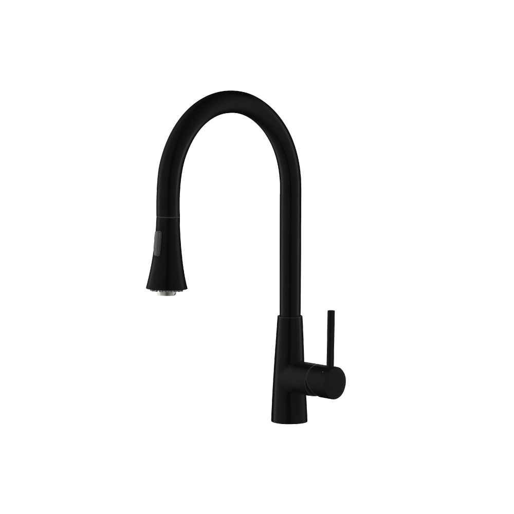 Zest - Dual Spray Stainless Steel Kitchen Faucet With Pull Out | Gloss Black