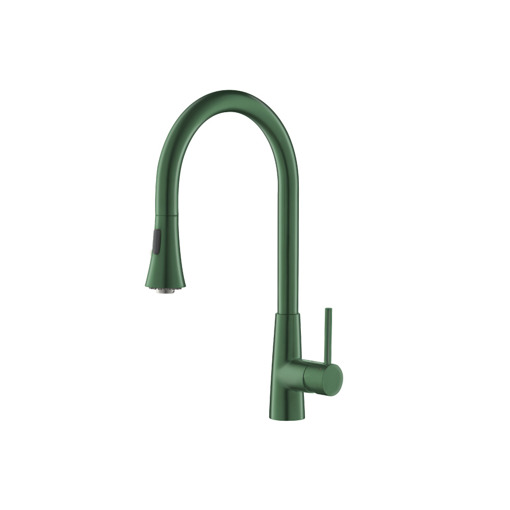 Zest - Dual Spray Stainless Steel Kitchen Faucet With Pull Out | Leaf Green
