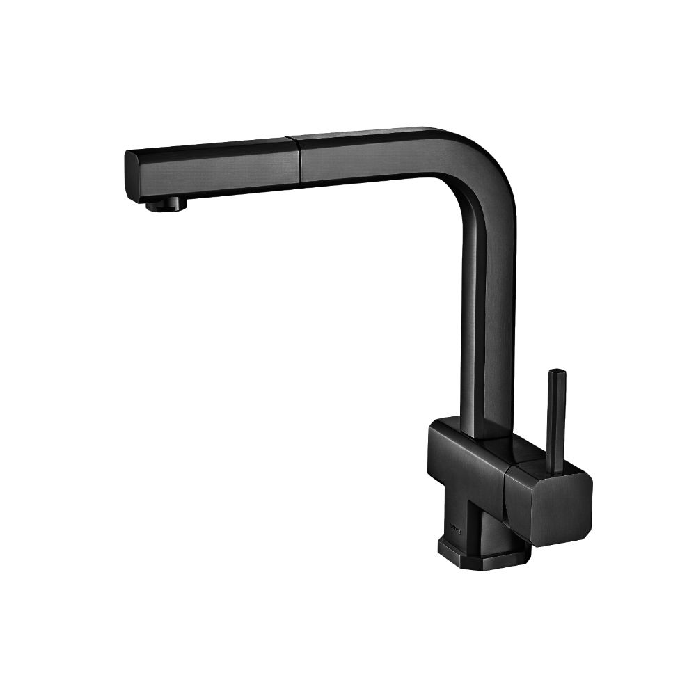 Cito - Dual Spray Stainless Steel Kitchen Faucet With Pull Out | Matte Black
