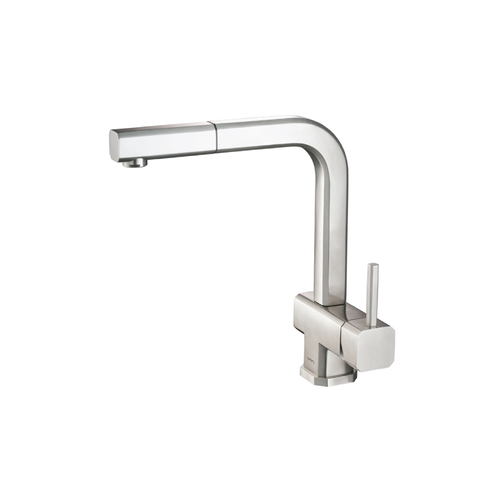 Cito - Dual Spray Stainless Steel Kitchen Faucet With Pull Out | Stainless Steel
