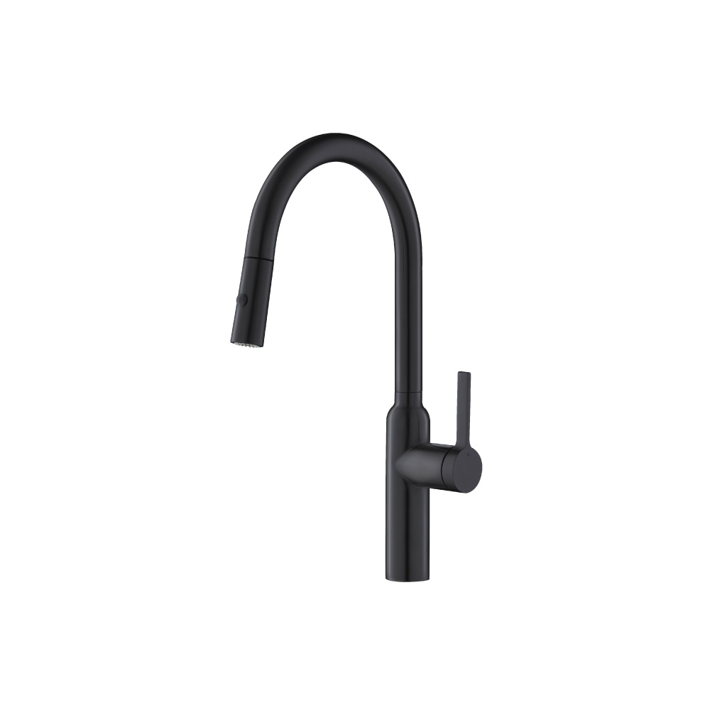 Ziel - Dual Spray Stainless Steel Kitchen Faucet With Pull Out | Dark Grey