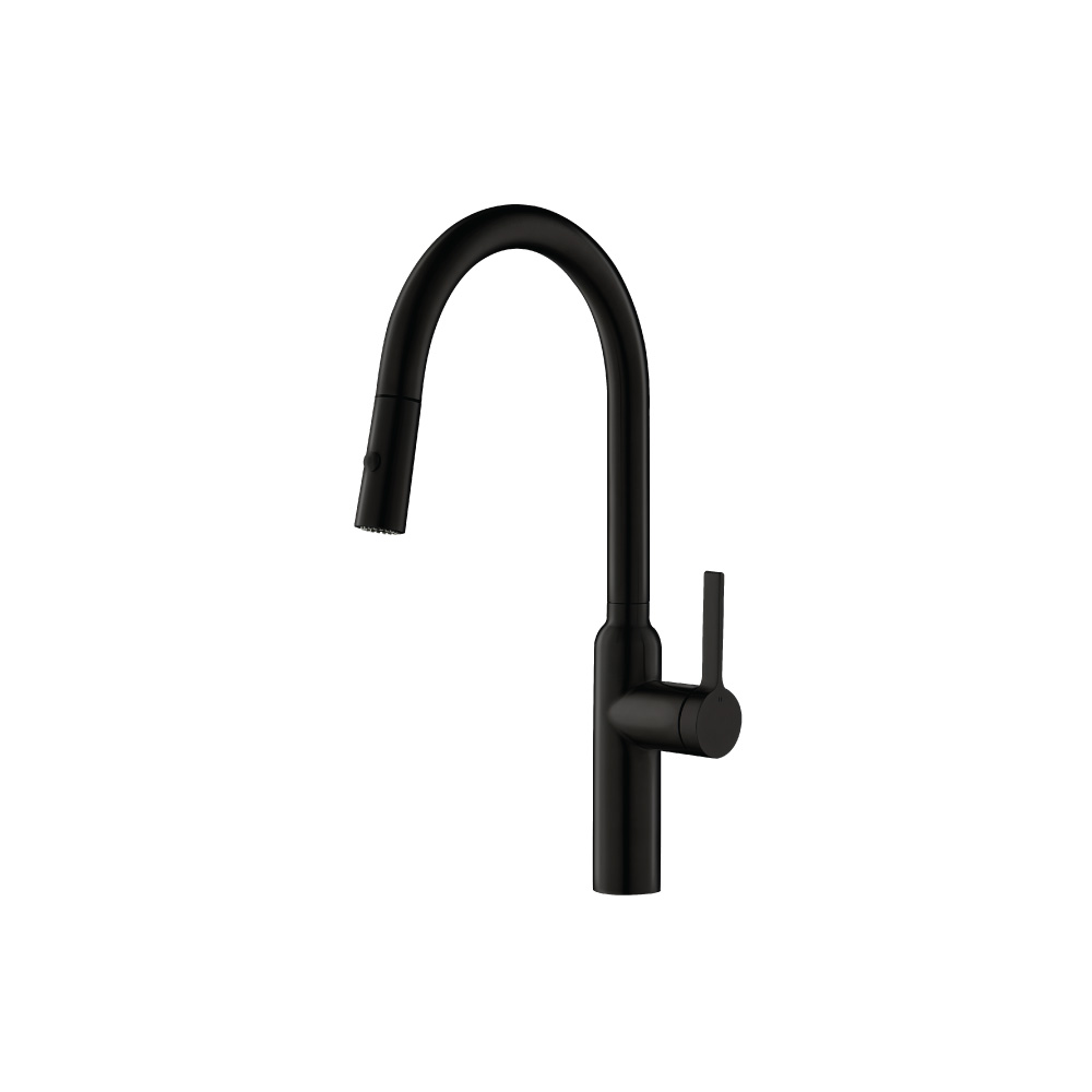 Ziel - Dual Spray Stainless Steel Kitchen Faucet With Pull Out | Gloss Black