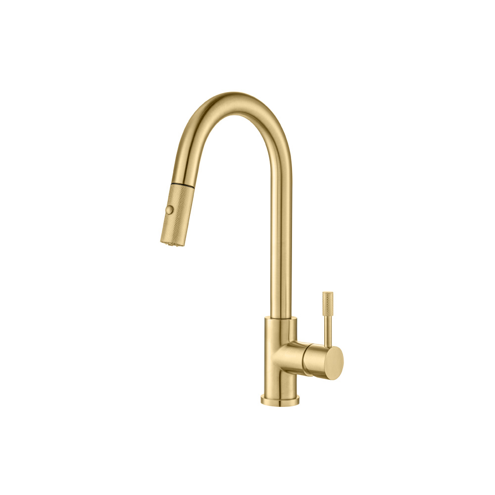 Vasco - Dual Spray Stainless Steel Kitchen Faucet With Pull Out & Knurling | Brushed Gold PVD